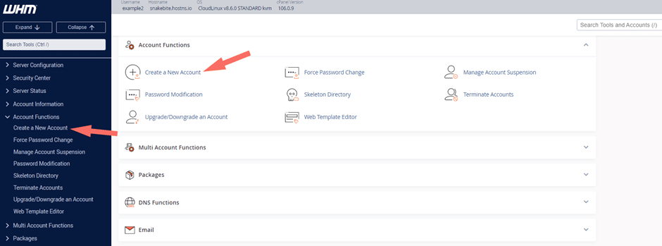 Getting Started with WHM / Web Host Manager 17