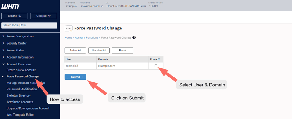 Getting Started with WHM / Web Host Manager 22