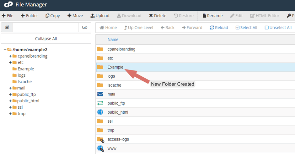 The Ultimate Beginners Guide to cPanel 103