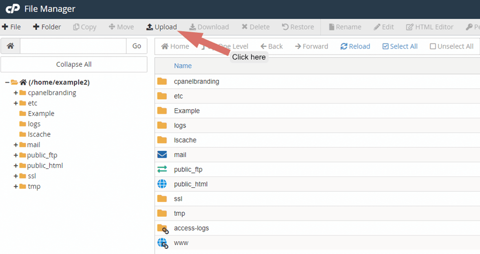 The Ultimate Beginners Guide to cPanel 104